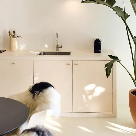 Le Loft De L'uzege - 5 Min Vanaf Uzes - 100 M2 - Terras Met Buitendouche