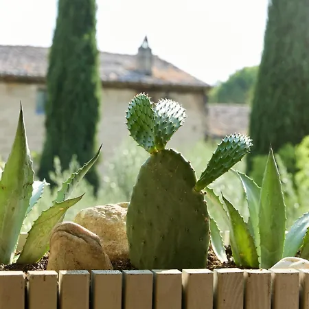 Le Loft De L'uzege - 5 Min Vanaf Uzes - 100 M2 - Terras Met Buitendouche *
